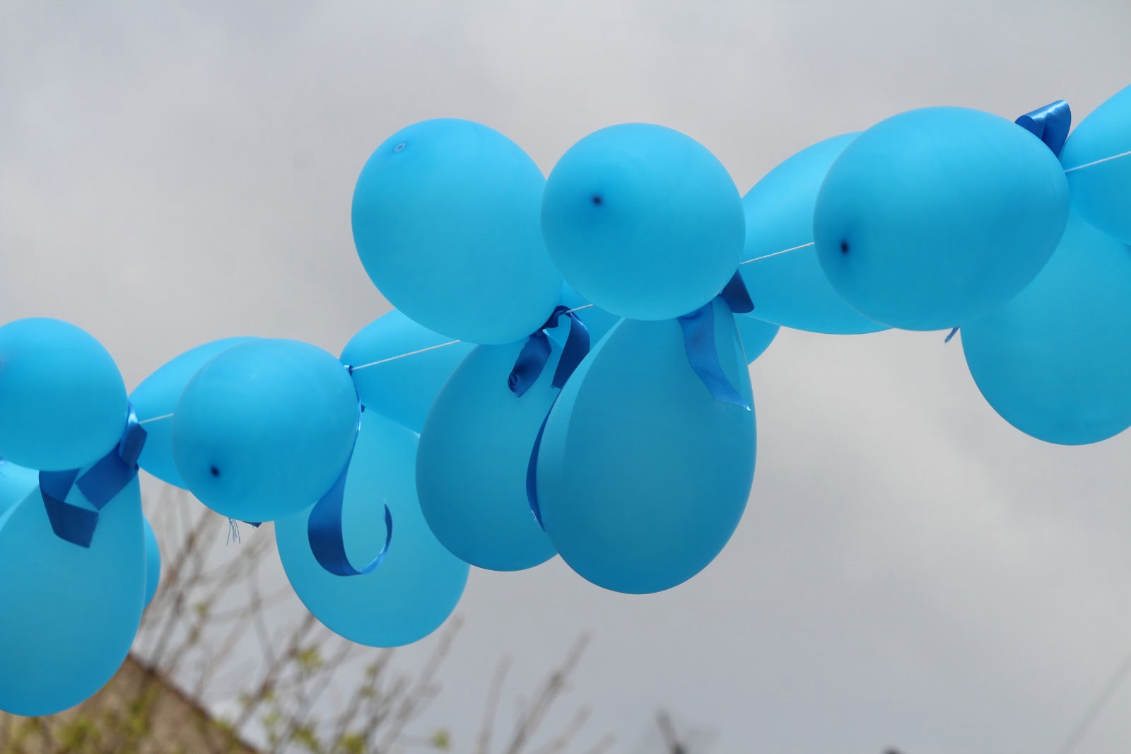 Gli studenti dell’IPSEOA e la giornata della consapevolezza sull’Autismo